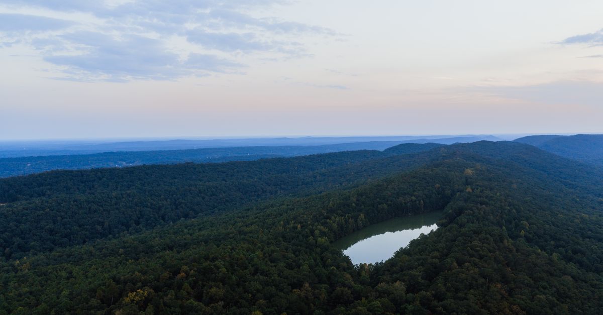 A stunning aerial view of a forest and lake in Pelham, Alabama during daytime.